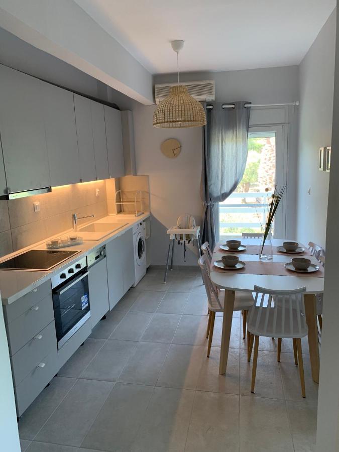 Gerakini Apartment Pszakúdia Kültér fotó