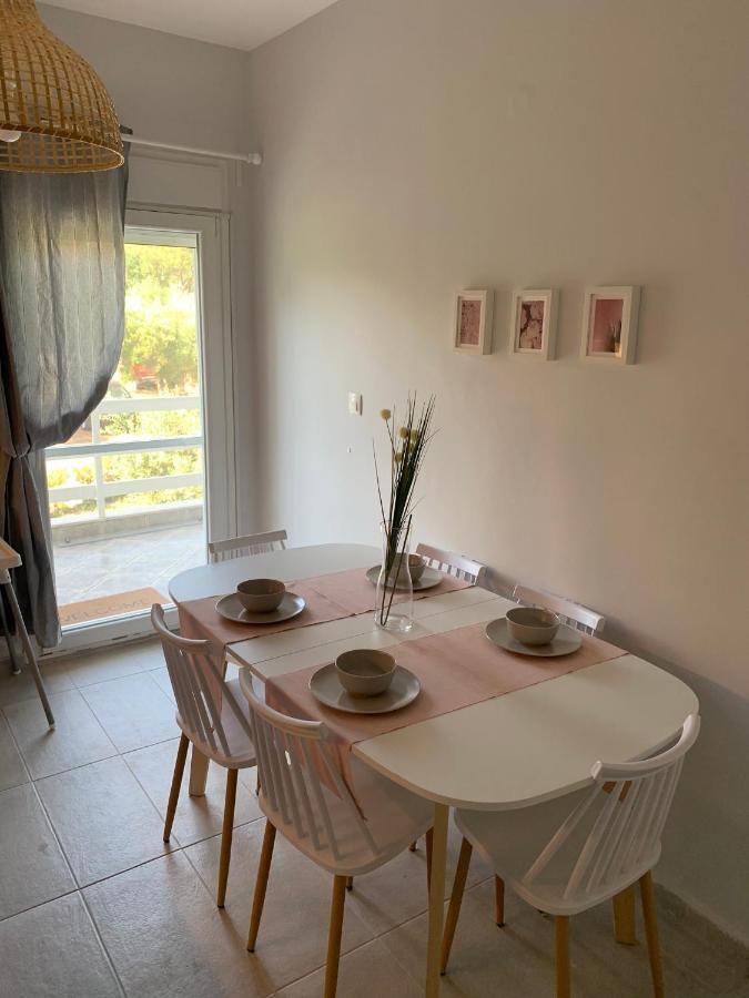 Gerakini Apartment Pszakúdia Kültér fotó