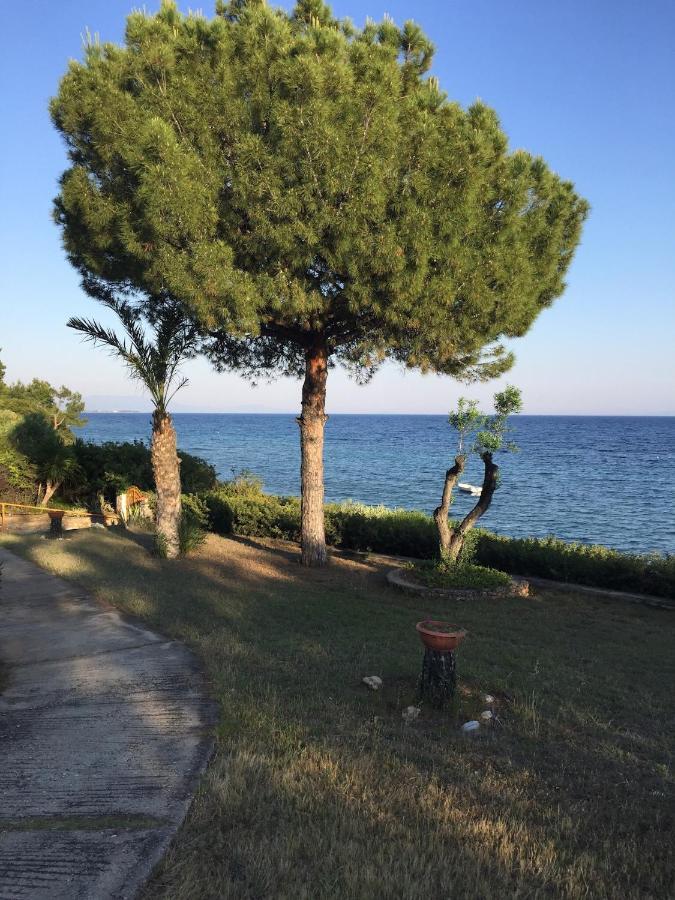 Gerakini Apartment Pszakúdia Kültér fotó