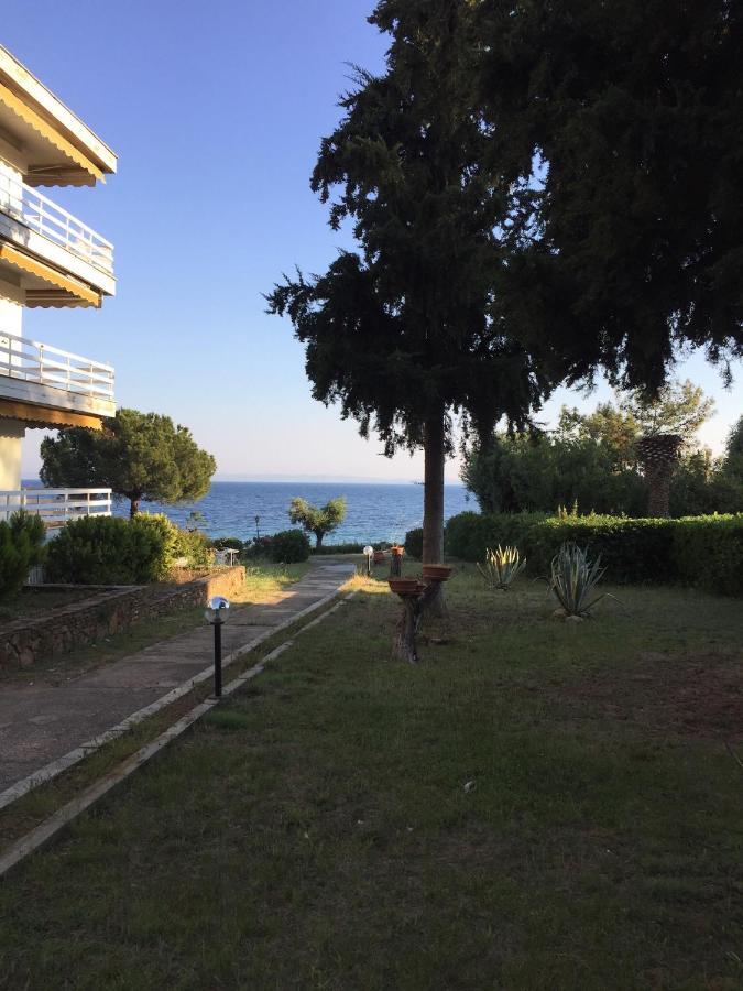 Gerakini Apartment Pszakúdia Kültér fotó